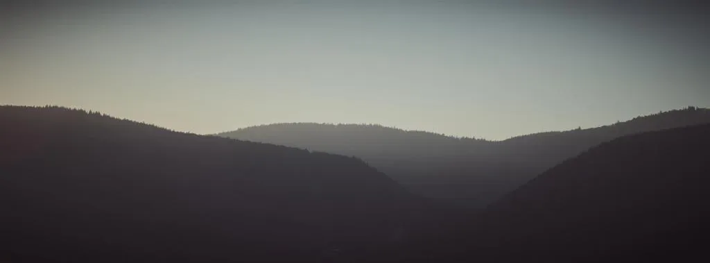 Panoramic