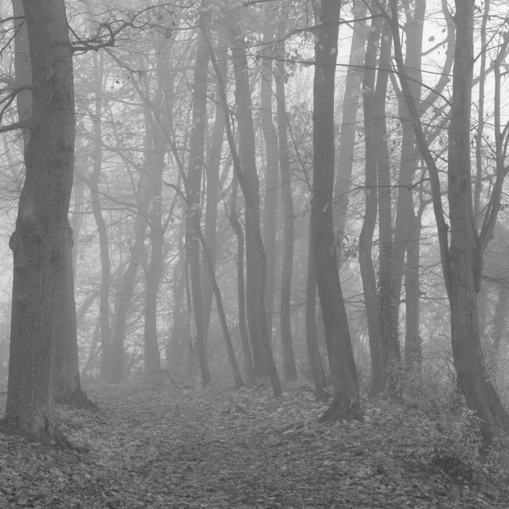 Winterstimmung